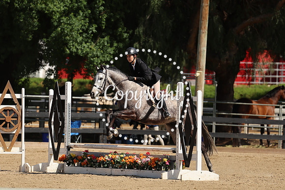 AVMM2201