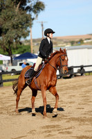 AVMM0279
