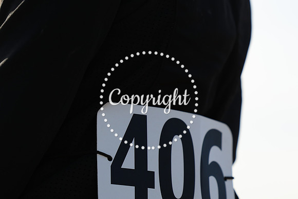AVMM2929