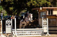 AVMM0960