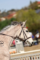 AVMM0968
