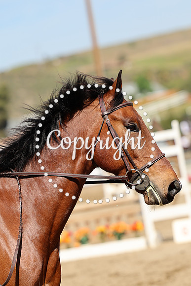 AVMM0897