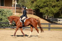 AVMM2515