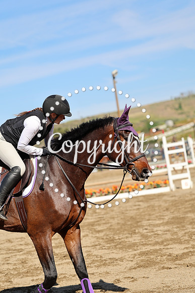 AVMM0599