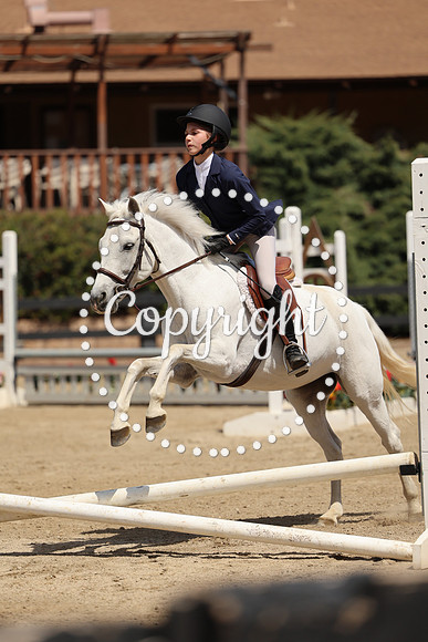 AVMM1875