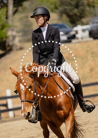 AVMM1966