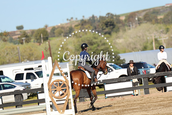 AVMM0201
