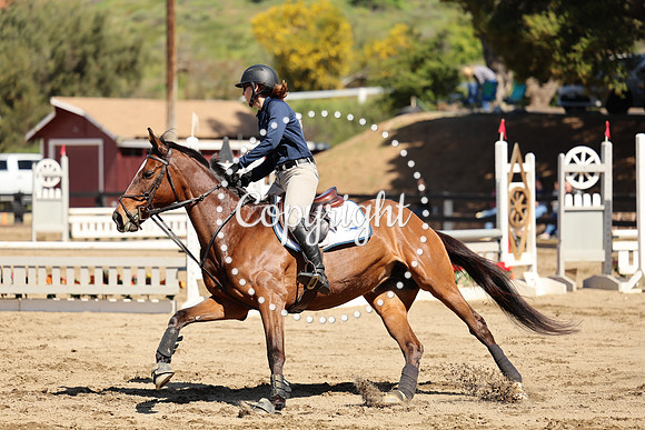 AVMM0996