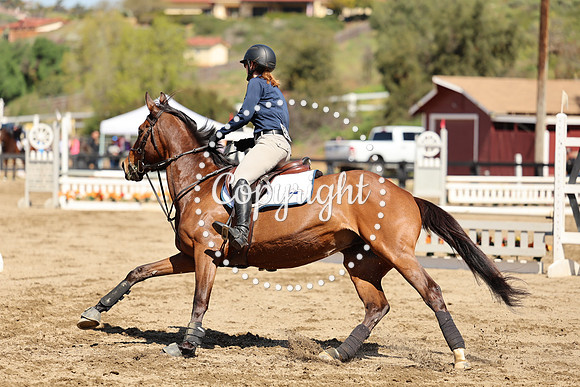 AVMM0997