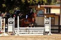 AVMM0809