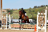 AVMM0813