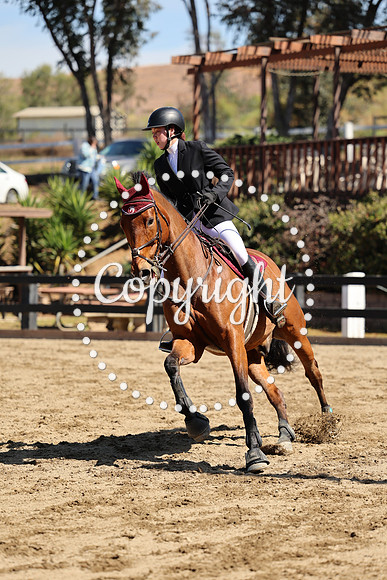 AVMM0976