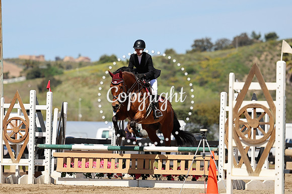 AVMM0978
