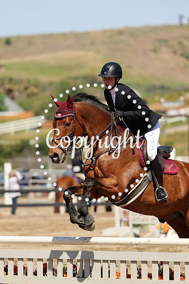 AVMM0981