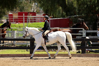 AVMM1535