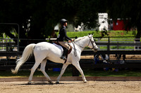 AVMM1549