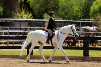 AVMM1552