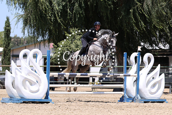 AVMP9785