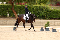 AVMP1248