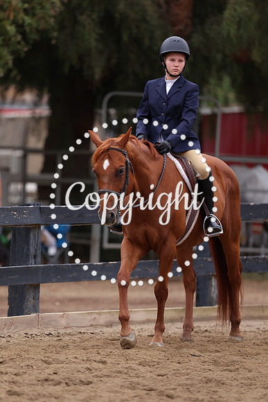 AVMP7888