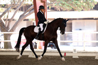 AVMP1463