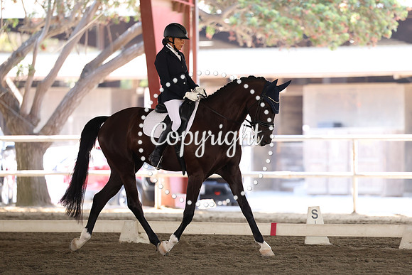 AVMP1463