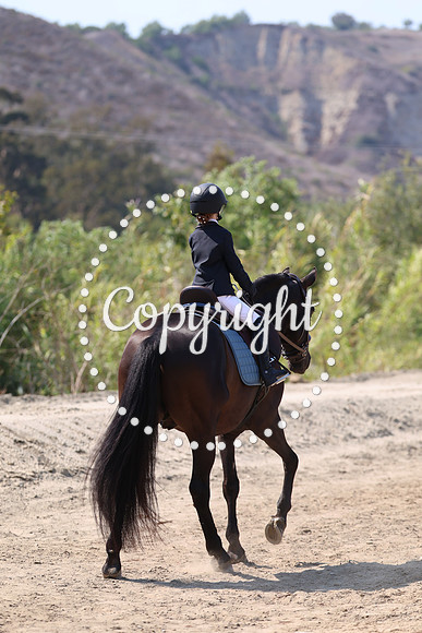 AVMP6043