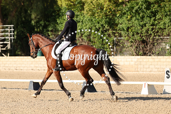 AVMP7527