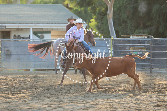 AVMM4478
