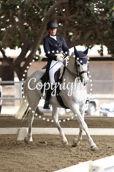 AVMP3265
