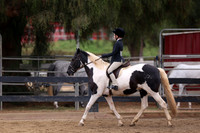 AVMP8523