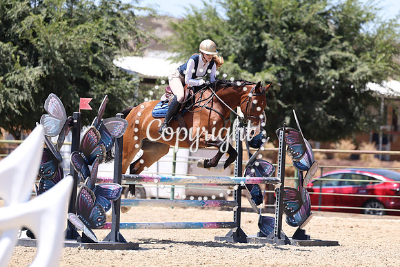 AVMP4816