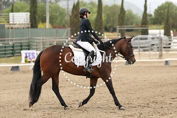 AVMP1437