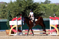 AVMP1186