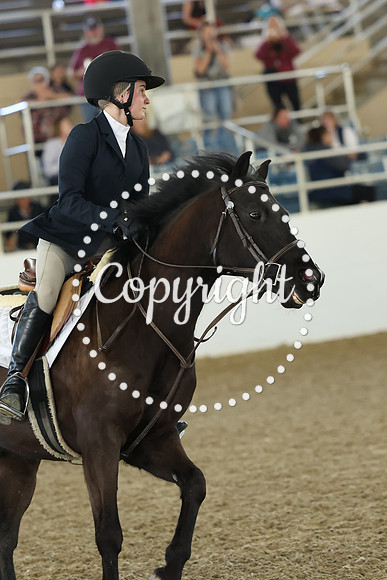 AVMM5083
