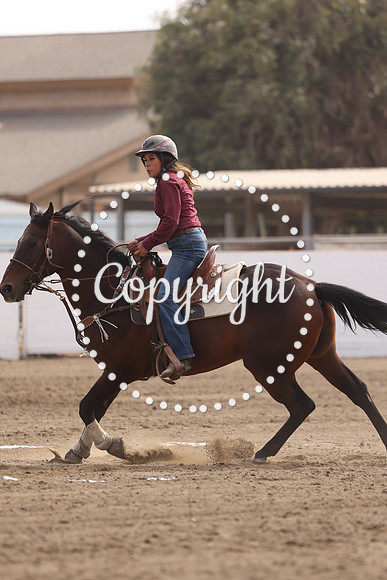 AGVC5091