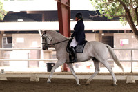 AVMP0912