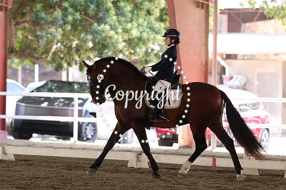 AVMP3088