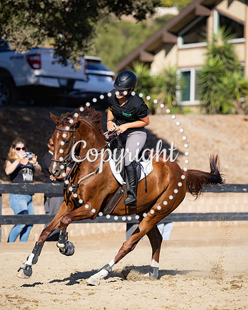 AVMM9181