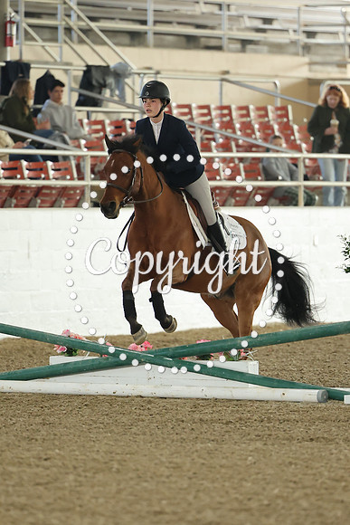AVMM0172