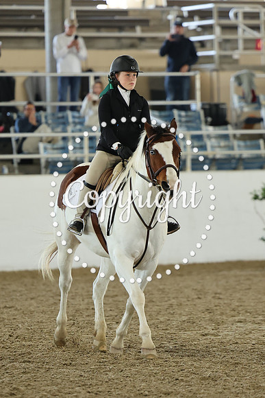 AVMM3099
