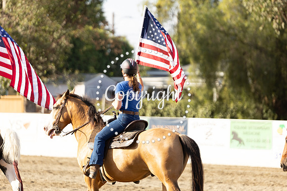 AVMP0533