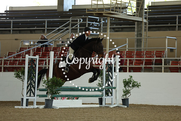 AVMM0509