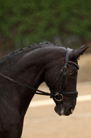 AVMP0923