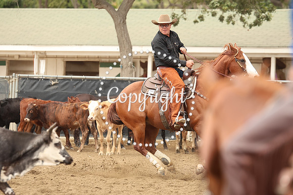 IMG_2744