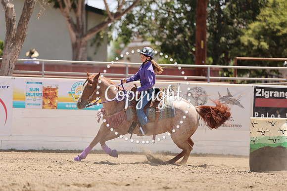 AVMM1730