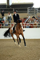 AVMM0980