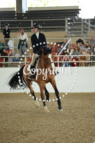 AVMM0980