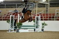AVMM0976