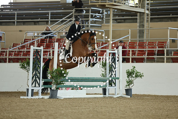 AVMM0976